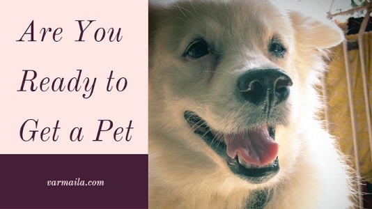 Are You Ready to Get a Pet